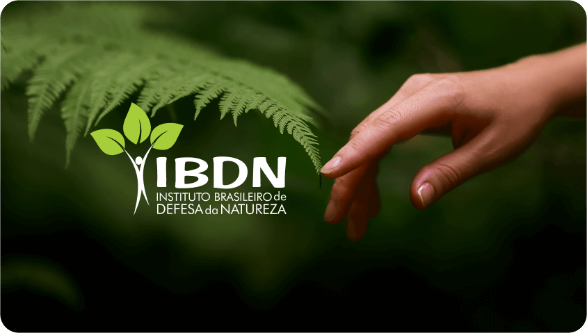 IBDN